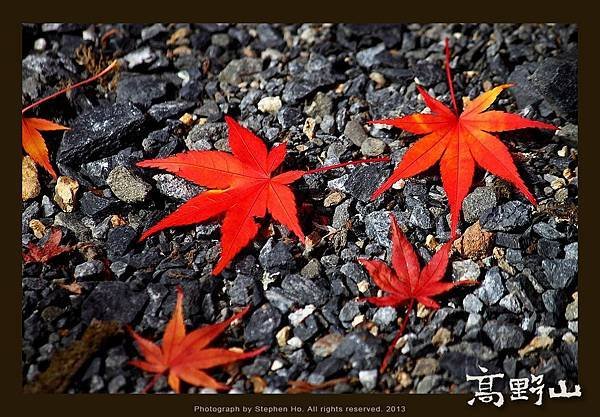 高野山_05.jpg