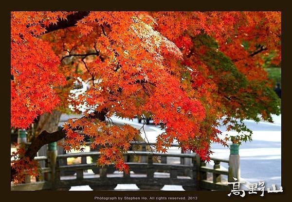 高野山_10.jpg