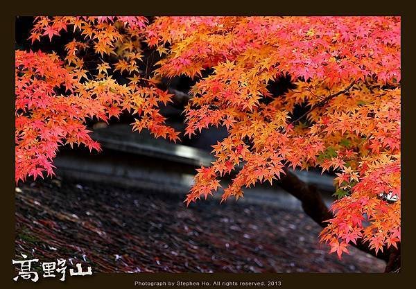 高野山_12.jpg
