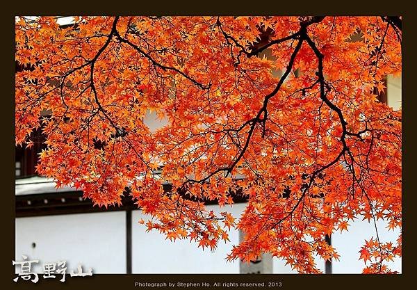 高野山_13.jpg