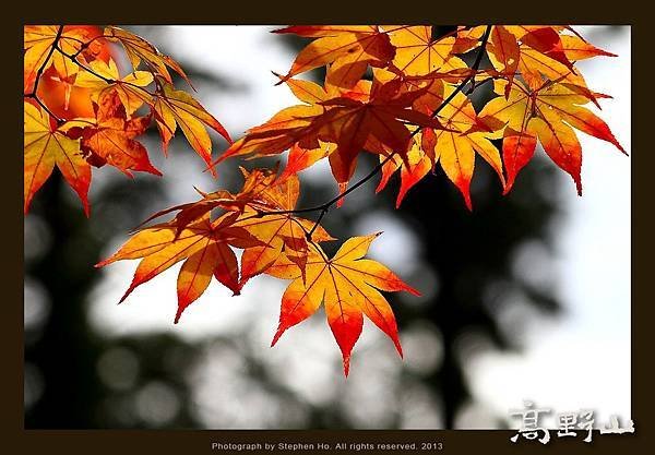 高野山_14.jpg
