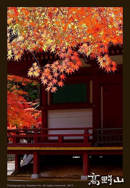 高野山_19.jpg