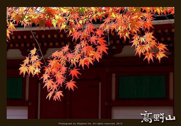 高野山_20.jpg