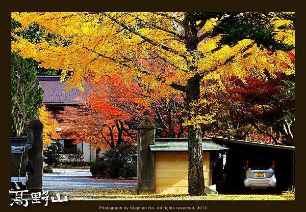 高野山_23.jpg
