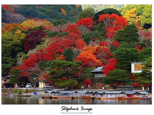 渡月橋2013_11.JPG