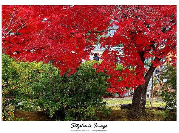 天龍寺2013_03.JPG