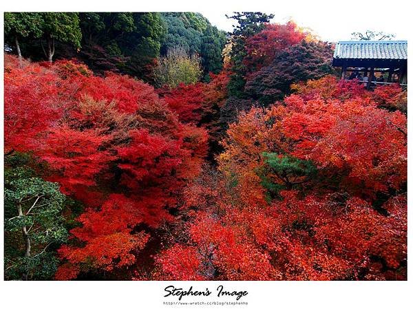 東福寺2013_06.JPG