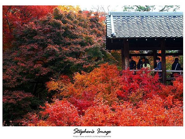 東福寺2013_10.JPG