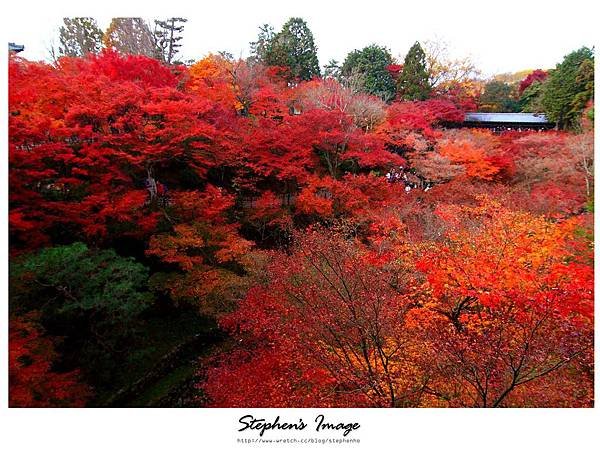東福寺2013_14.JPG