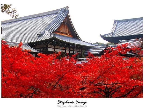 東福寺2013_15.JPG