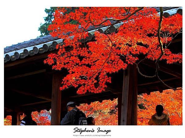 東福寺2013_16.JPG
