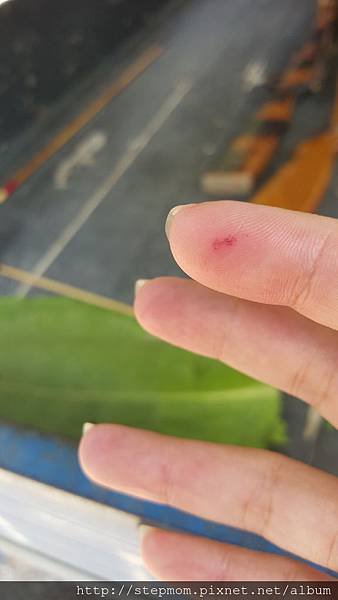 20150627_103751.jpg