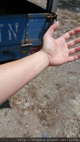 20150627_103711.jpg