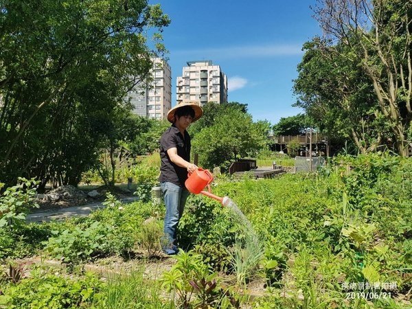 都市小農必看　三招避免你的土地變登革熱農場 .jpg