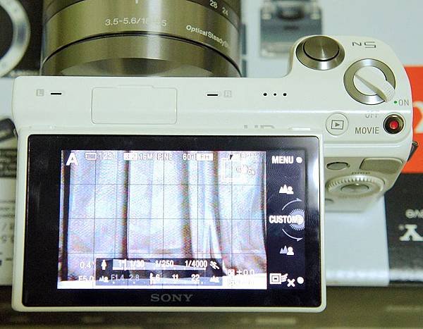 nEO_IMG_DSC08012.jpg