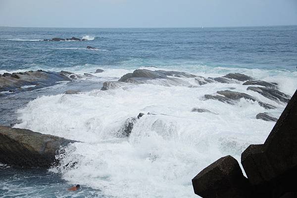 20120826_5347