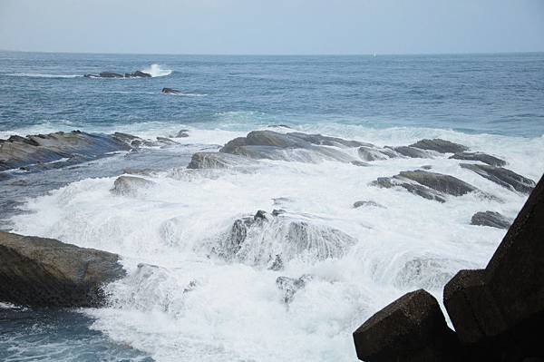 20120826_5348