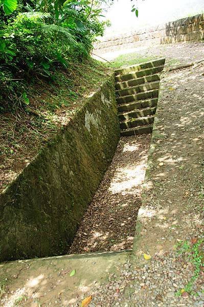 20120826_5786