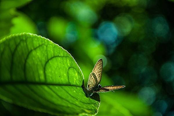 20130629-10