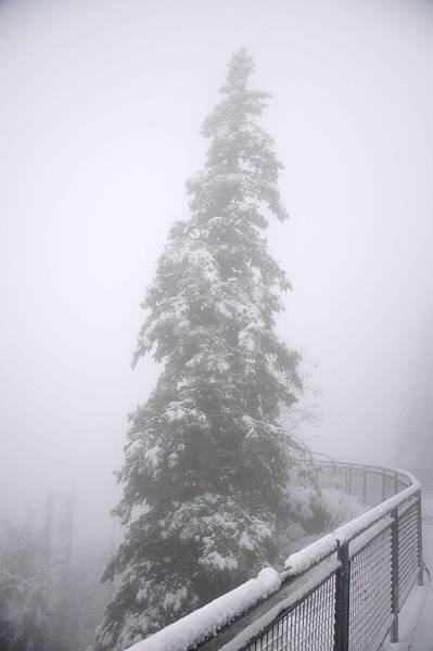 DSC_0097