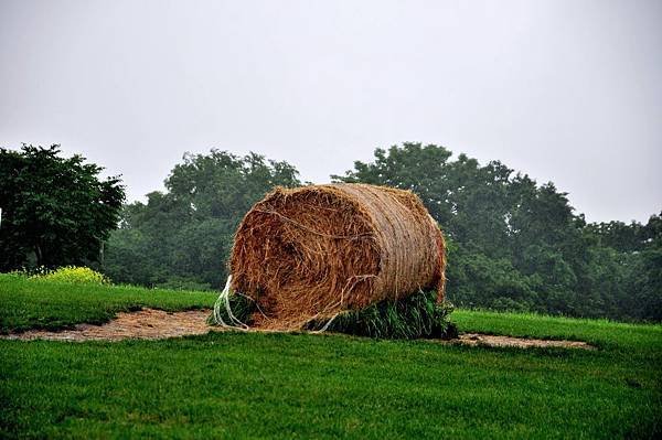 DSC_0628