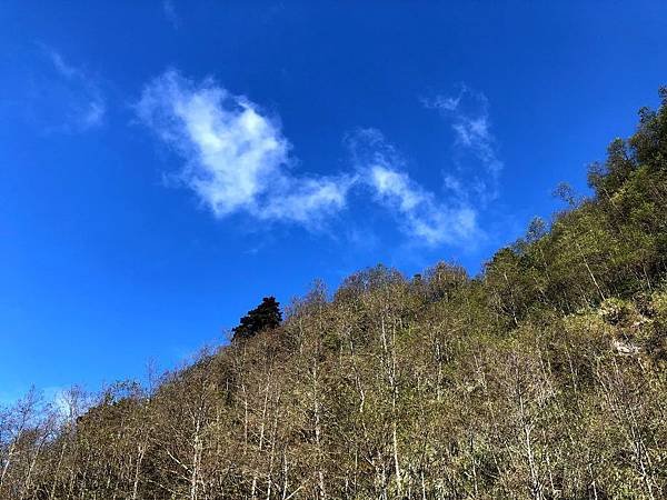 IMG_E8107.JPG