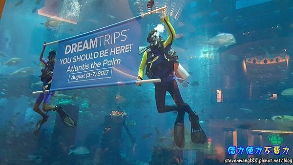 20170803-36-水族館前合照.jpg