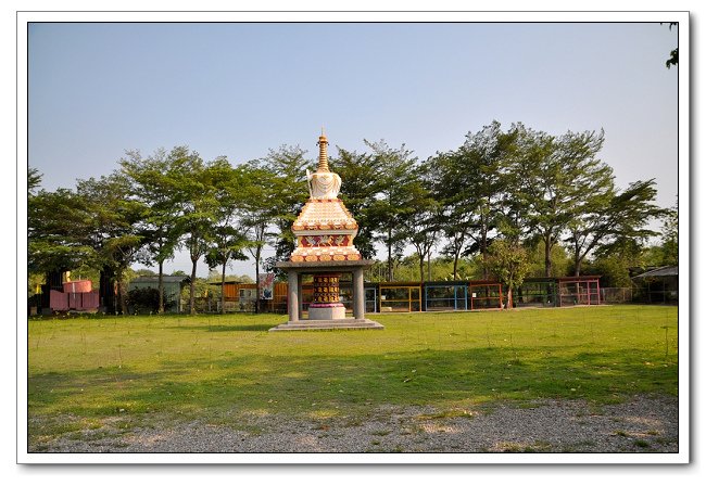 鹿營親子農場，餵食小動物