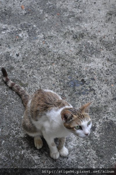 DSC_0002.jpg