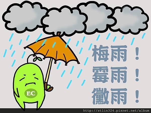 繪圖 - 梅雨.jpg