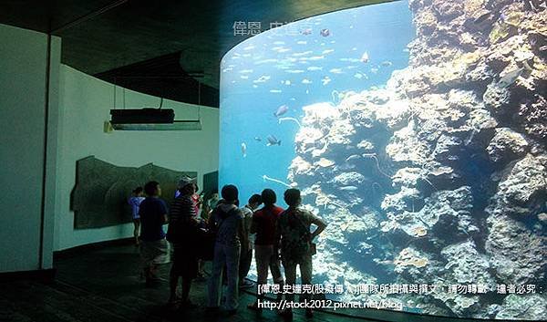 [屏東.旅遊]墾丁海生館,海洋生物博物館_最長海底隧道鯨鯊伴隨,小朋友暑假夏令營住宿最佳選擇(必去,景點,門票,夜宿,交通,附近民宿,實習,基隆,珊瑚礁)015