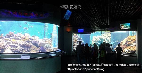 [屏東.旅遊]墾丁海生館,海洋生物博物館_最長海底隧道鯨鯊伴隨,小朋友暑假夏令營住宿最佳選擇(必去,景點,門票,夜宿,交通,附近民宿,實習,基隆,珊瑚礁)012