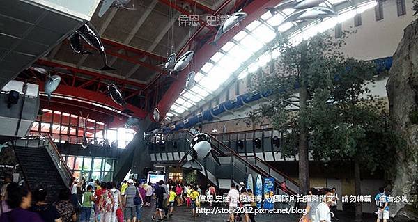 [屏東.旅遊]墾丁海生館,海洋生物博物館_最長海底隧道鯨鯊伴隨,小朋友暑假夏令營住宿最佳選擇(必去,景點,門票,夜宿,交通,附近民宿,實習,基隆,珊瑚礁)030