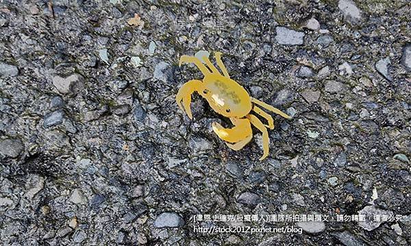 [屏東旅遊]台灣最南端點_墾丁大街繼續走,比鵝鑾鼻燈塔還南邊的觀海平台(地址,交通,茶園,門票,美食,海產,公車,住宿,露營,餐廳.看日出,夕陽)012