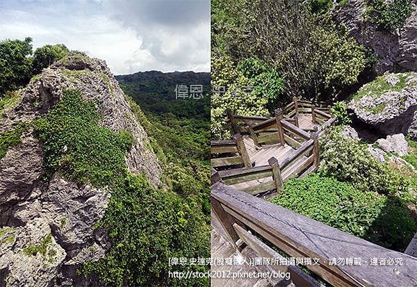 [屏東旅遊]墾丁社頂自然公園步道_珊瑚礁奇景與豐富動植物生態,梅花鹿,賞鷹,凌霄亭,螢火蟲(門票免費,夜間導覽,毛柿林,民宿,墾丁森林國家公園)014