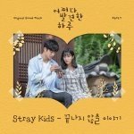 Single-SKZ-KOR-Digital-003.jpg - ✦ Stray Kids「單曲、專輯」封面