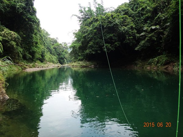 20150620 014.JPG
