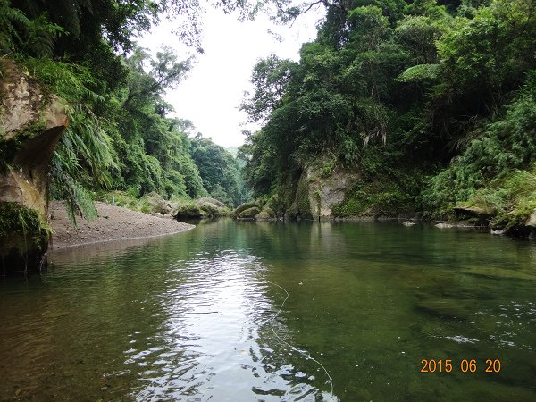 20150620 020.JPG