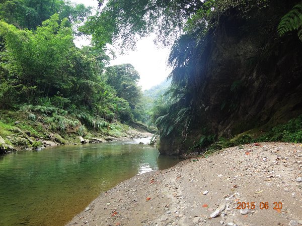 20150620 022.JPG
