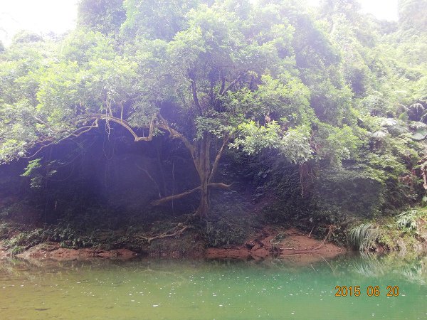 20150620 024.JPG