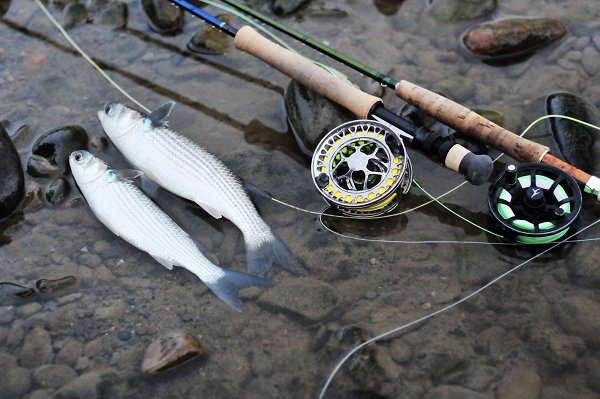 20151018 017.JPG