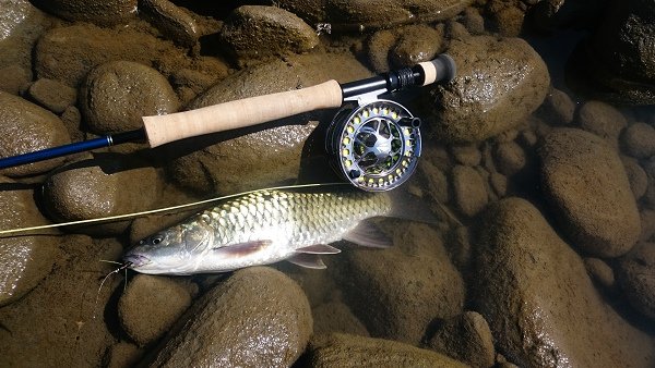20151031 002.JPG