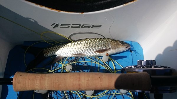 20151031 003.JPG