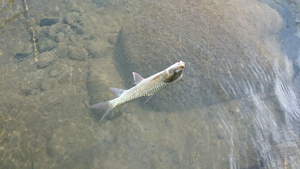 20151031 005.JPG
