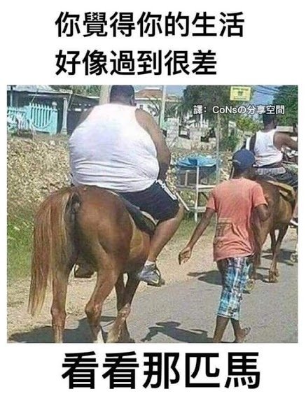 心靈羊肉爐4.jpg