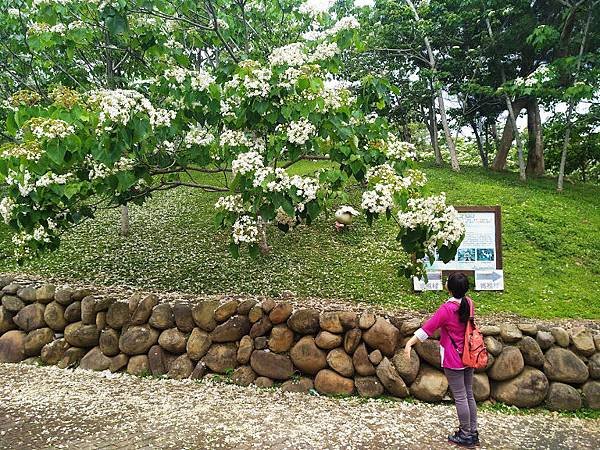 桐花客家大院 7.jpg