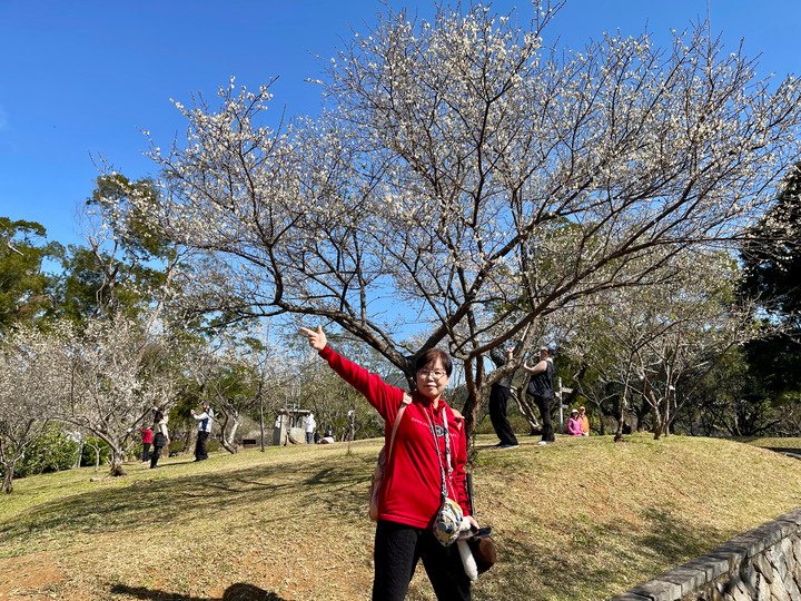 角板山公園 ~~ 青山綠水 賞楓 賞梅花 賞櫻花