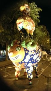 tn_IMAG0478