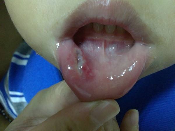 20110817927.JPG