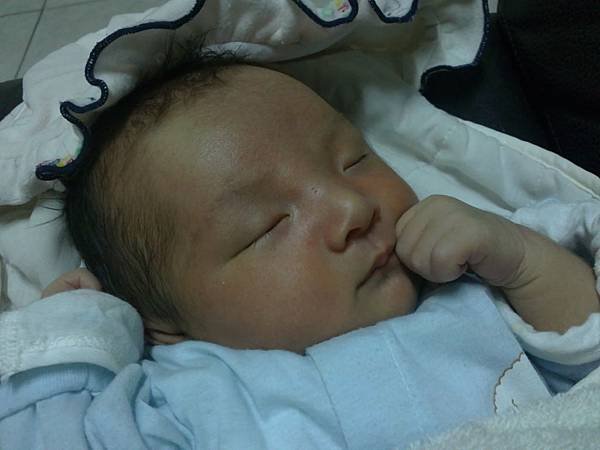 20110818931.JPG